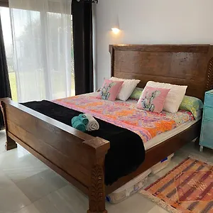 check availability